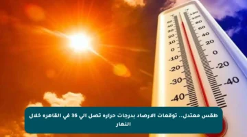 طقس معتدل.. توقعات الأرصاد بدرجات حرارة تصل إلى 36 في القاهرة خلال النهار